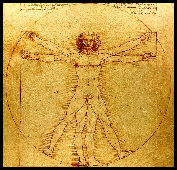 uomo vitruviano - da vinci (1490) d'purb site