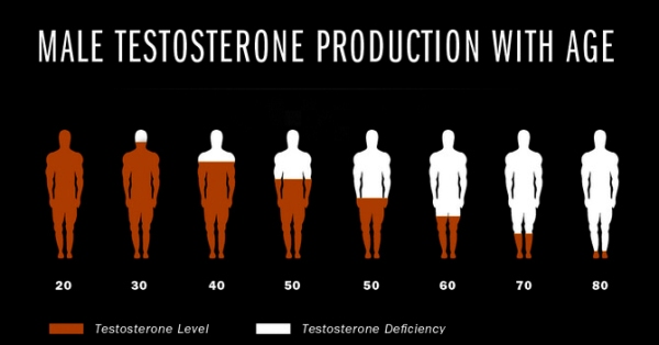 testosterone-production