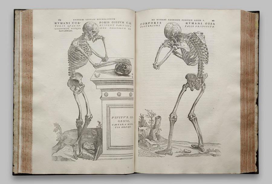 humani-corporis-fabrica