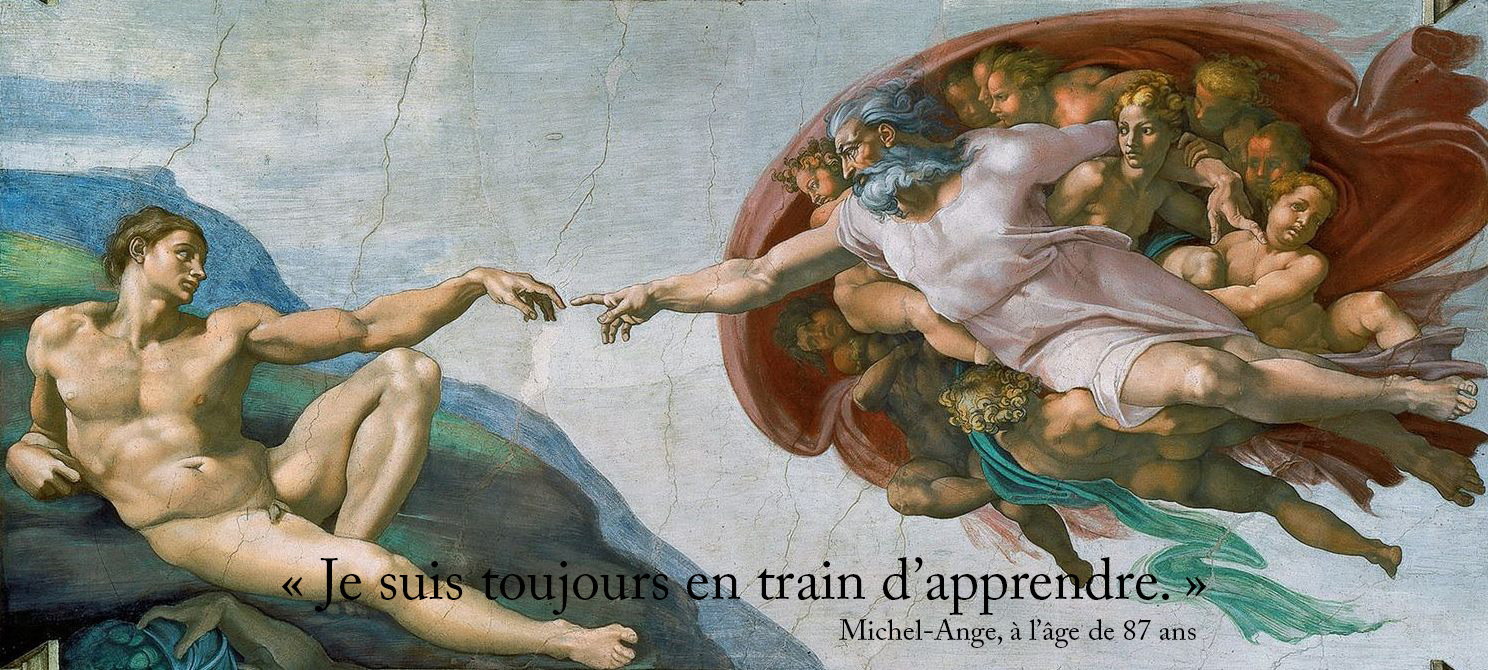 Michel-Ange-Toujours-A-Apprendre-Always-Learning