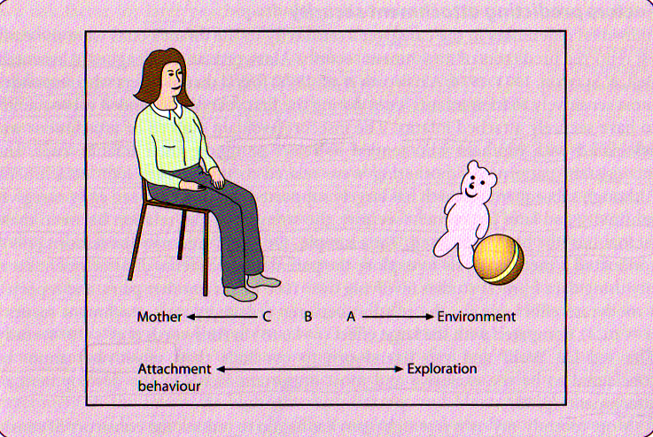 PC Attachment as a balance of behaviour TA