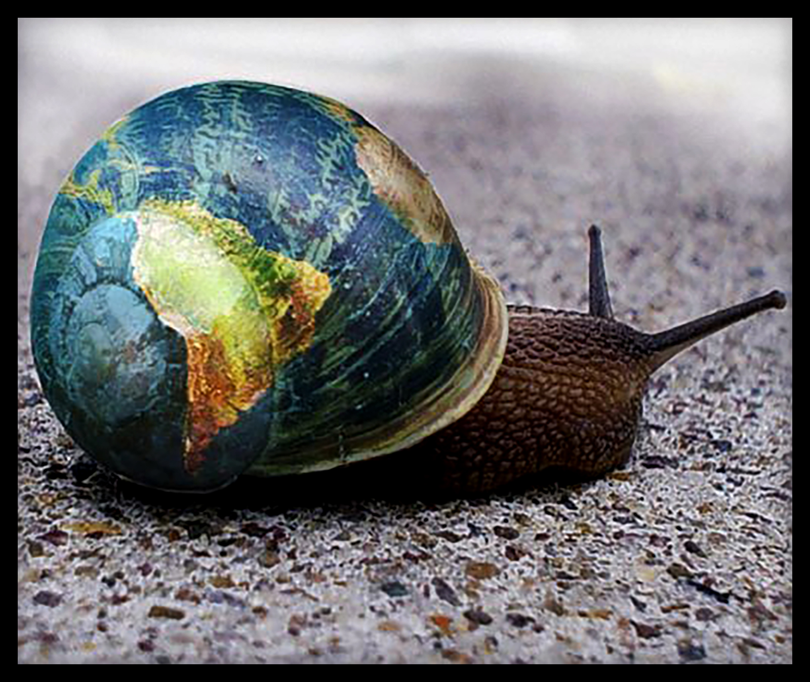 Globe Escargot Snail Danny D'Purb dpurb site web
