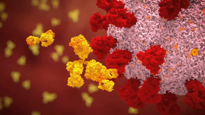 024 Antibody BndSpks DvPhgC